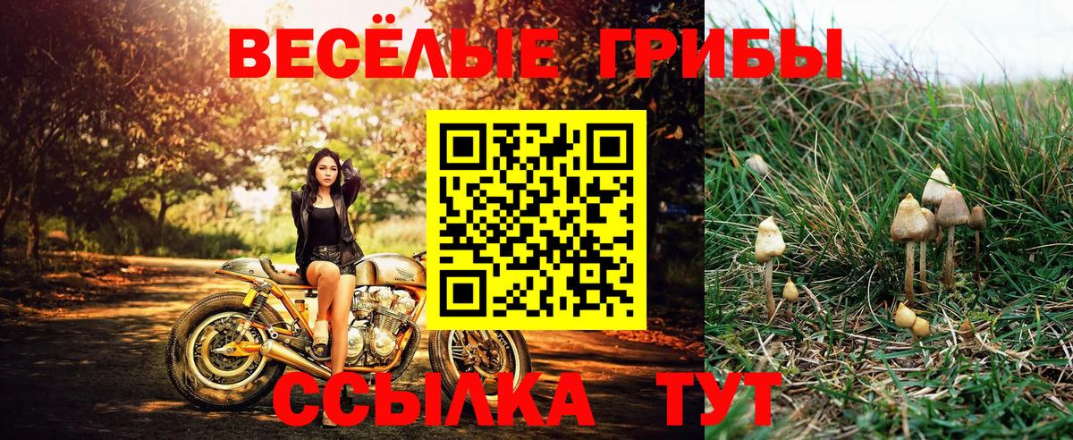 Псилоцибиновые грибы Magic Shrooms Липецк