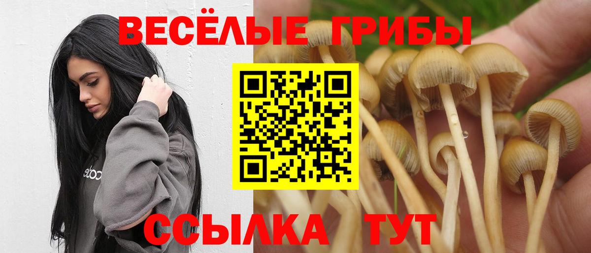 Псилоцибиновые грибы прущие грибы  Вход с VPN  Липецк 