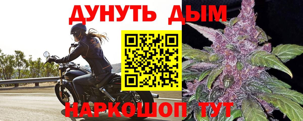 Шишки марихуана тримм  Марихуана ГИДРОПОН  Конопля Bruce Banner  Липецк  Вход с VPN 